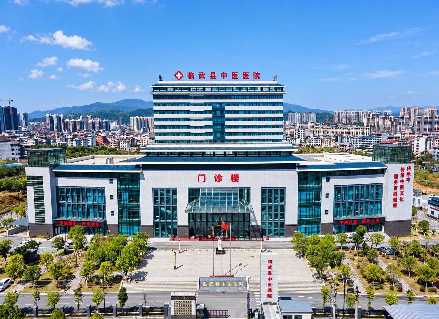 临武县中医院